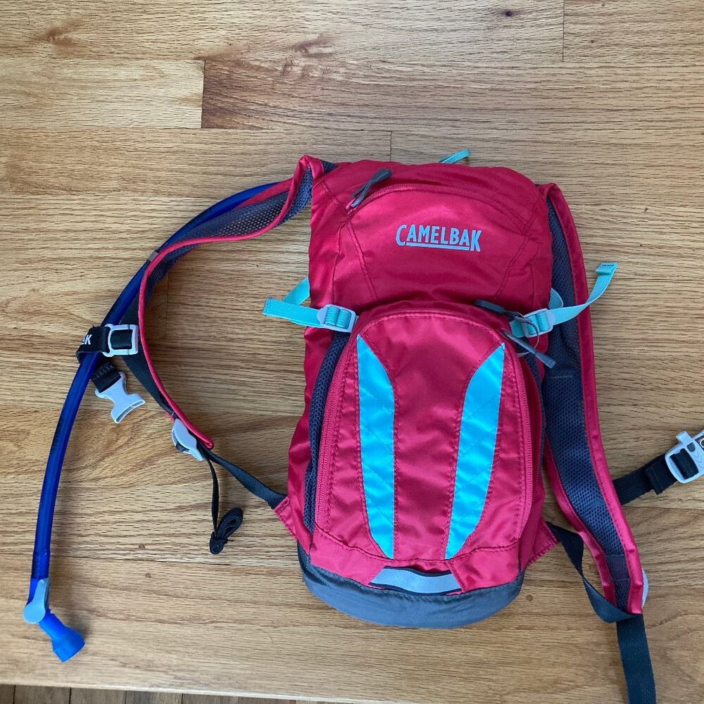 CamelBak KIDS' Mini M.U.L.E. 50 OZ Hydration Pack